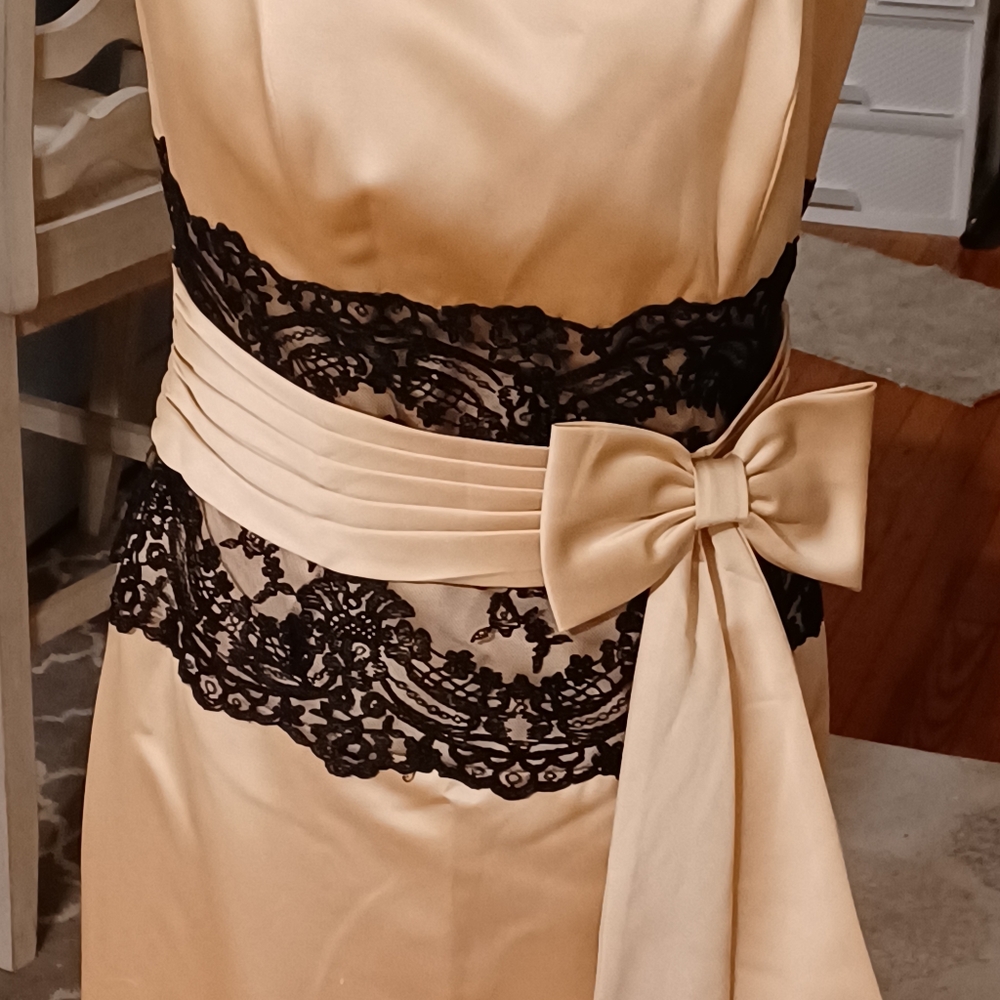 Sample Champagne dresses